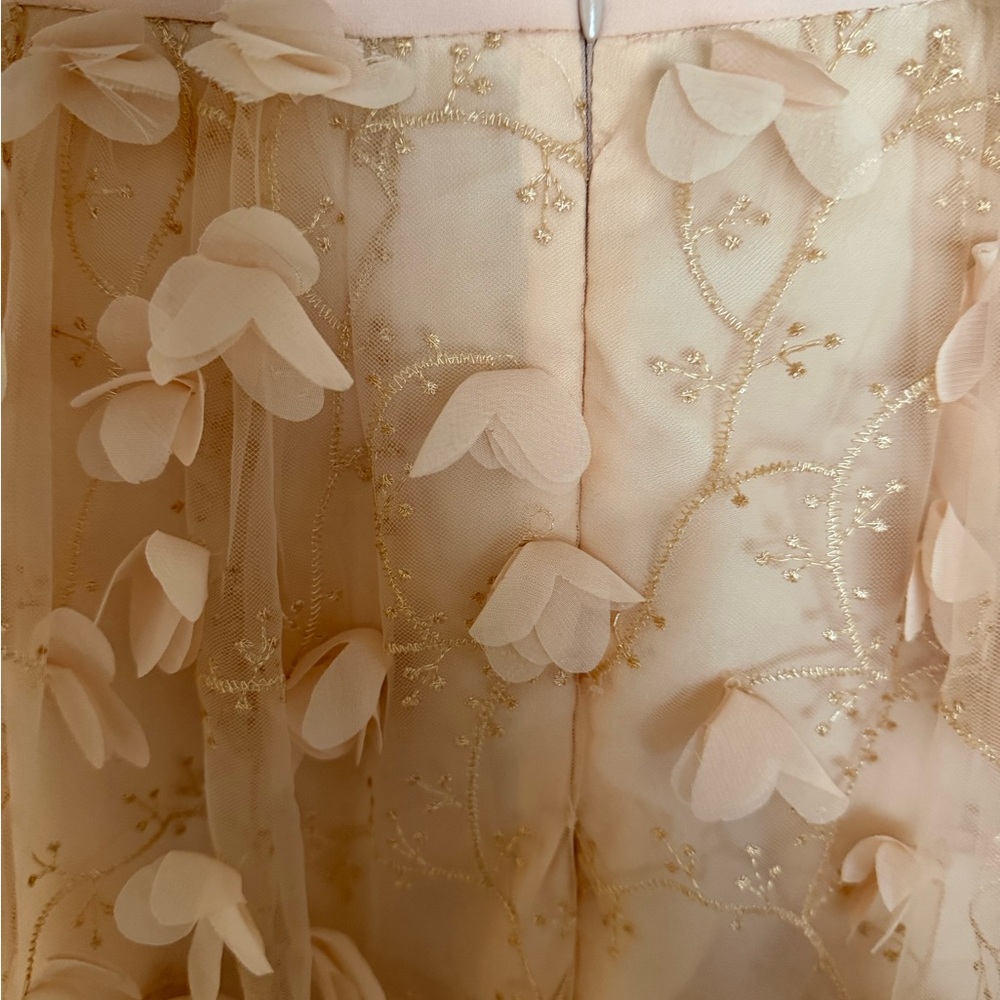 Eva Franco Blush Pink Petal-Appliqué 3D Midi Skirt - Picture 3 of 7